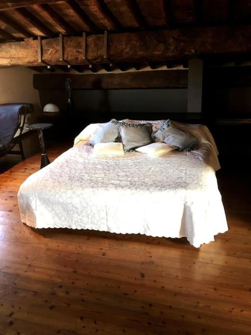 Romantic Studio In The Historical Heart Of 파도바 외부 사진